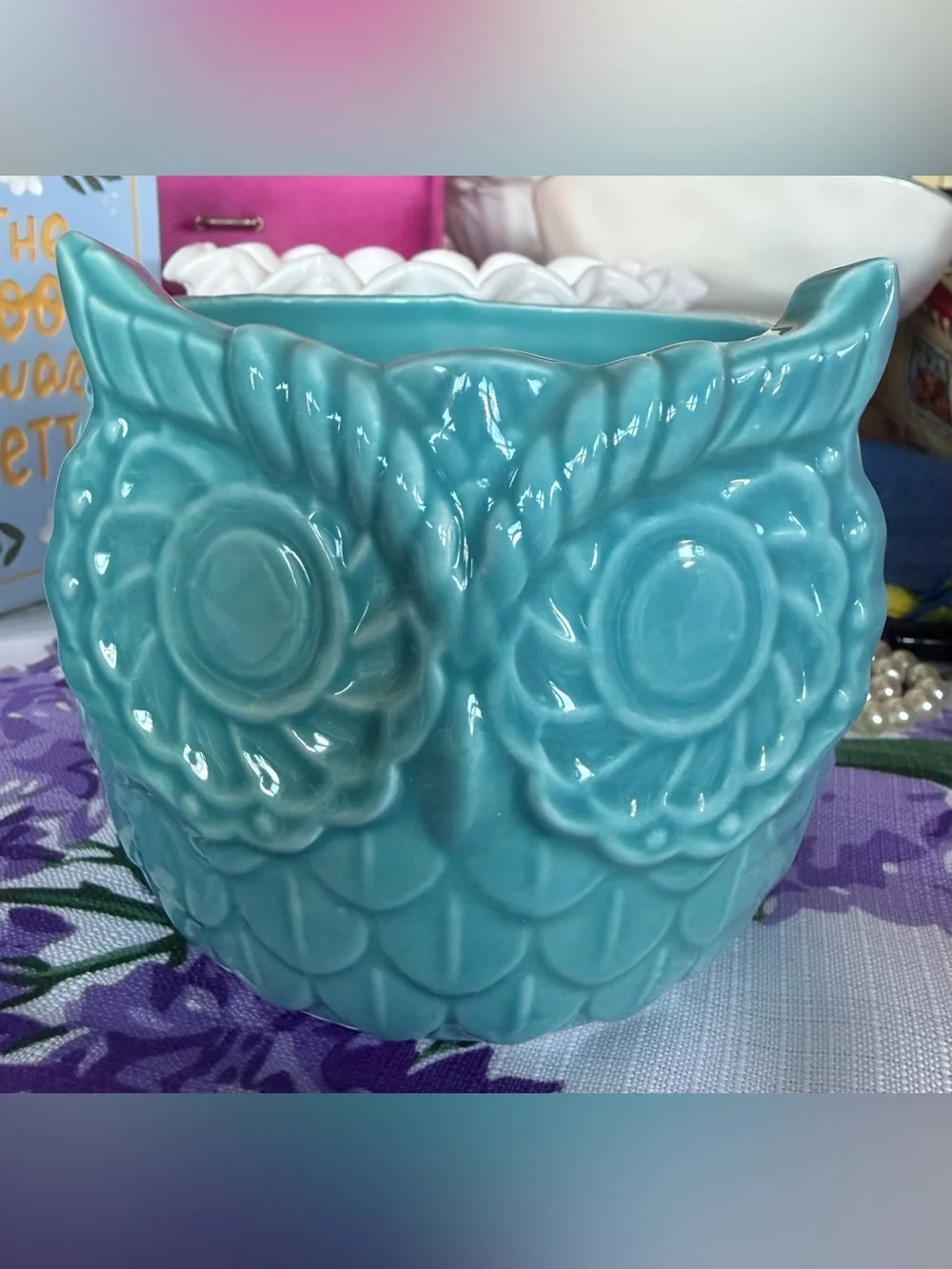 Glossy Teal Owl Ceramic Planter, New